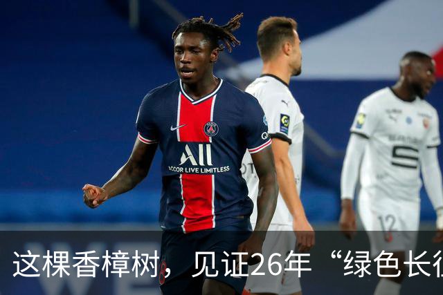这棵香樟树，见证26年“绿色长征”